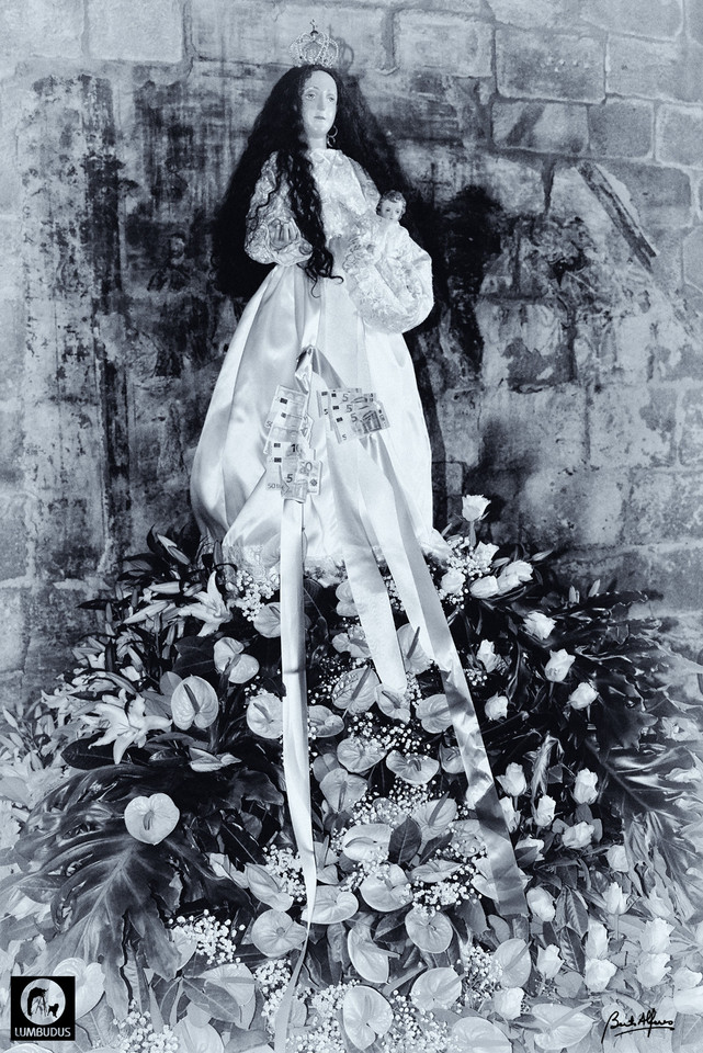 _D805616_Selenio.jpg