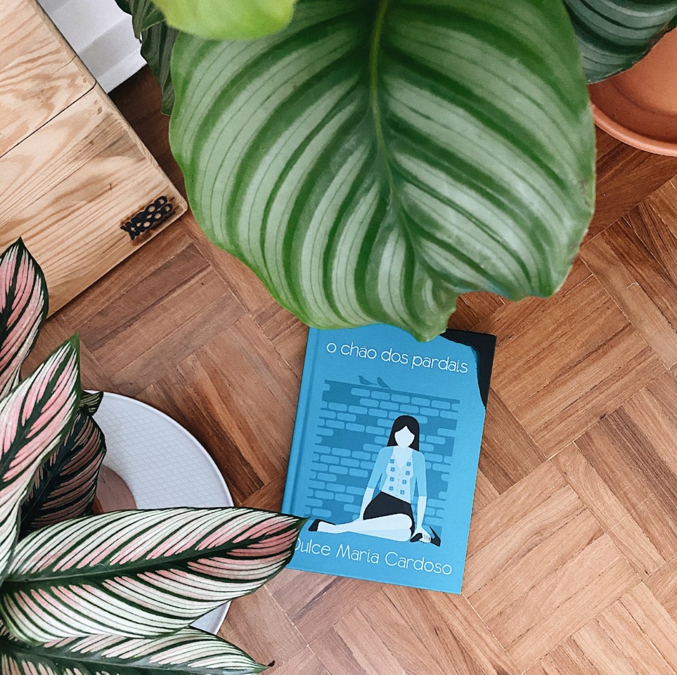 080C1DFA-7BEA-4959-BF2A-7156EED3A971.jpg 080C1DFA-7BEA-4959-BF2A-7156EED3A971.jpg