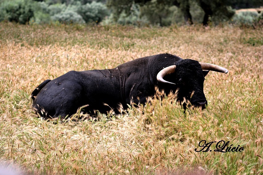 Treino Falé Filipe 152.jpg