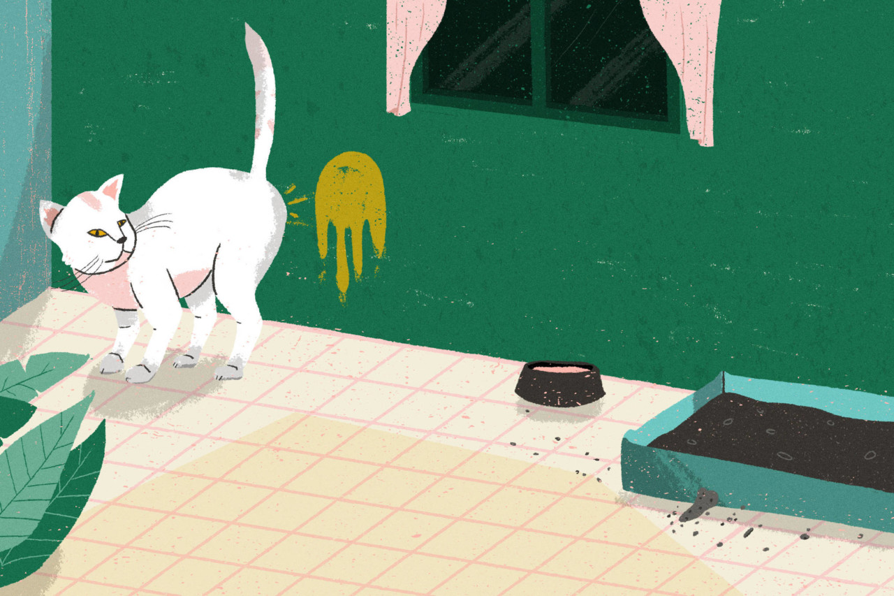 15182117565a7e12ac59998_1518211756_3x2_rt.jpg 15182117565a7e12ac59998_1518211756_3x2_rt.jpg