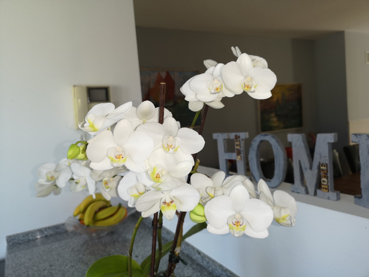 IMG_20190325_081004.jpg IMG_20190325_081004.jpg