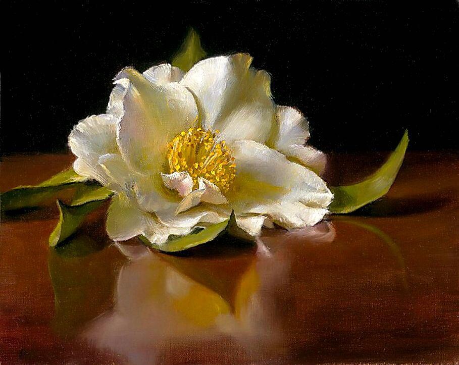 581204_365653646821227_172487282804532_1009688_182