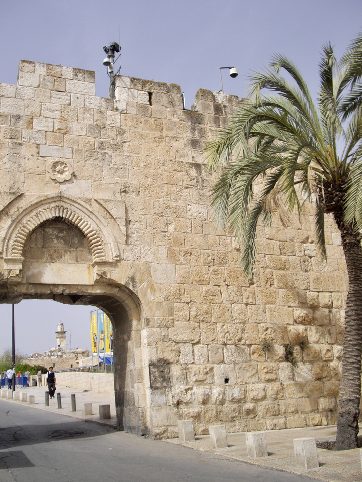 fullsizeoutput_132e.jpeg fullsizeoutput_132e.jpeg