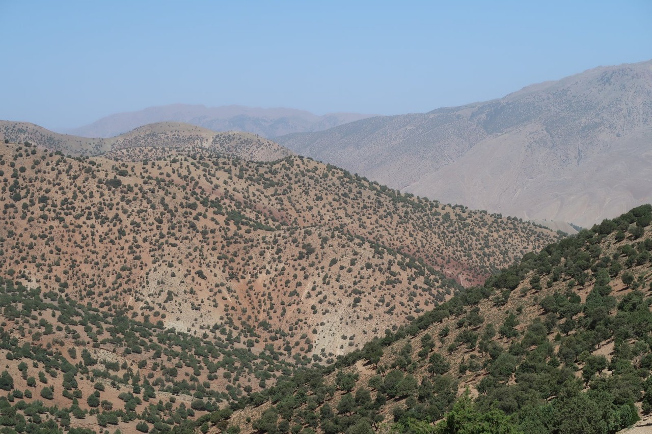 2017-06-19 2017-06-24 001 009.jpg