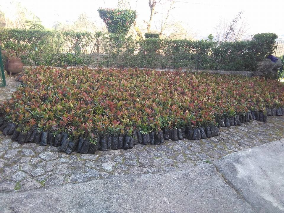 16681634_1320722044641213_3271092875591070718_n.jp