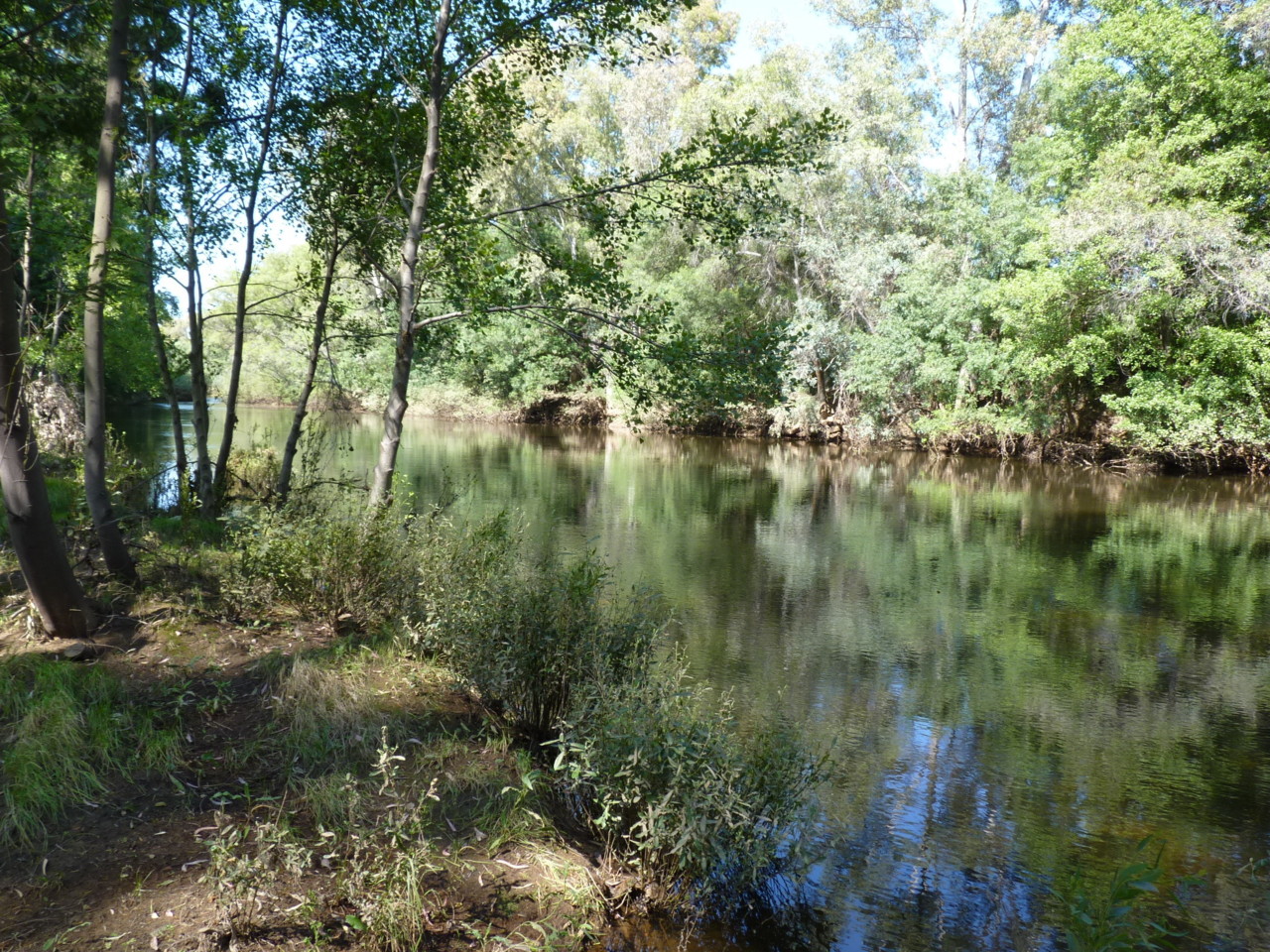 Termas de Monfortinho - rio Erges.JPG