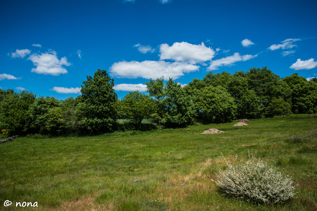 35.- Vagueando pela Montanha.jpg