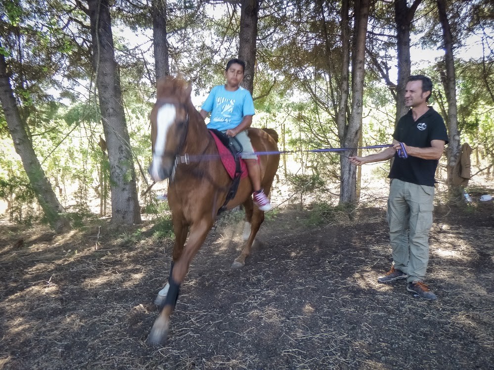 martim cavalo.jpg martim cavalo.jpg