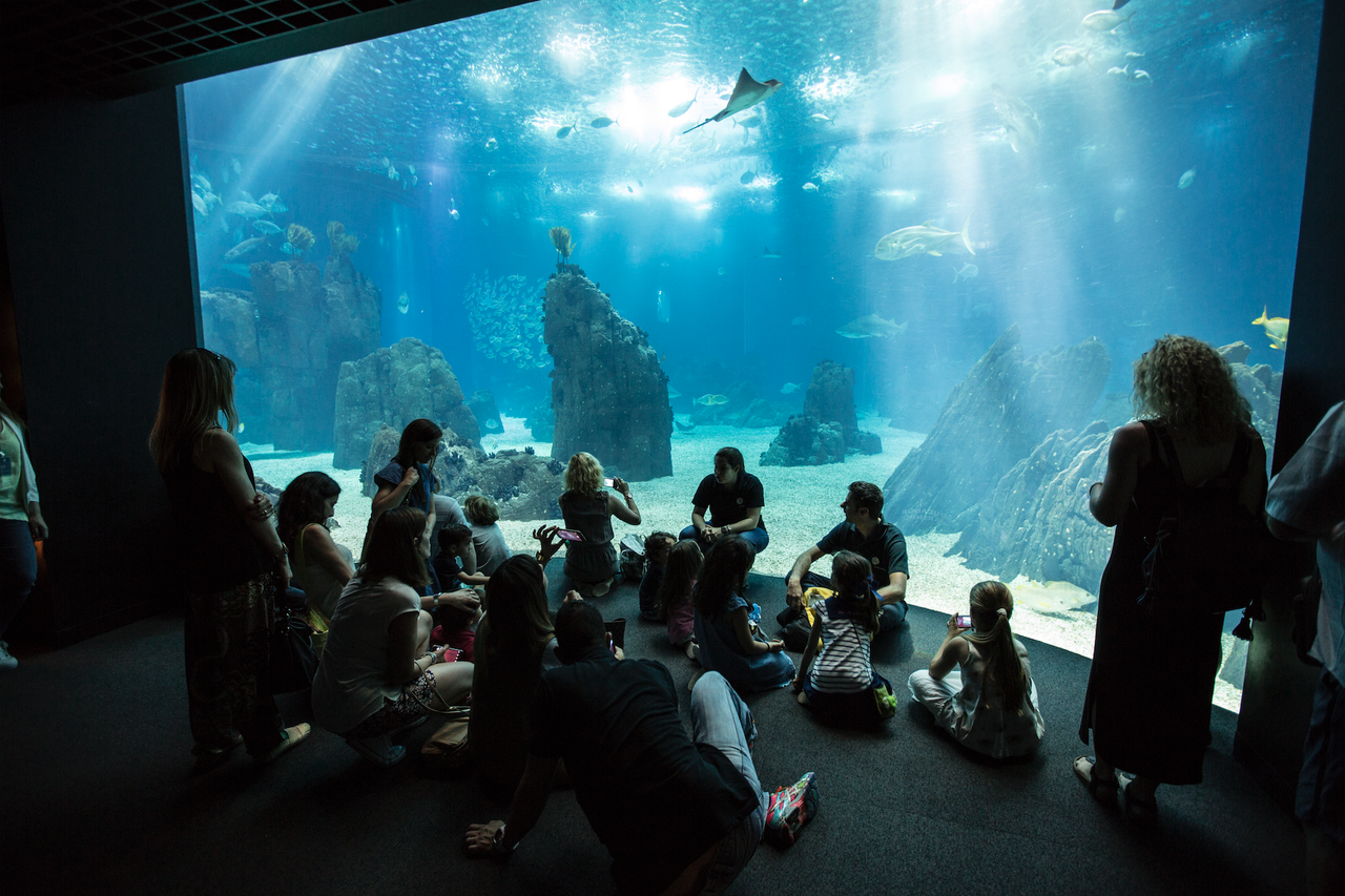 Captura de ecrã 2016-06-29, às 00.48.06.png