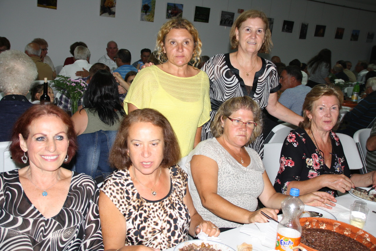 IMG_0775.JPG IMG_0775.JPG