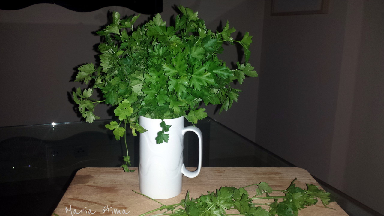 Slasa_Maria Ótima.jpg