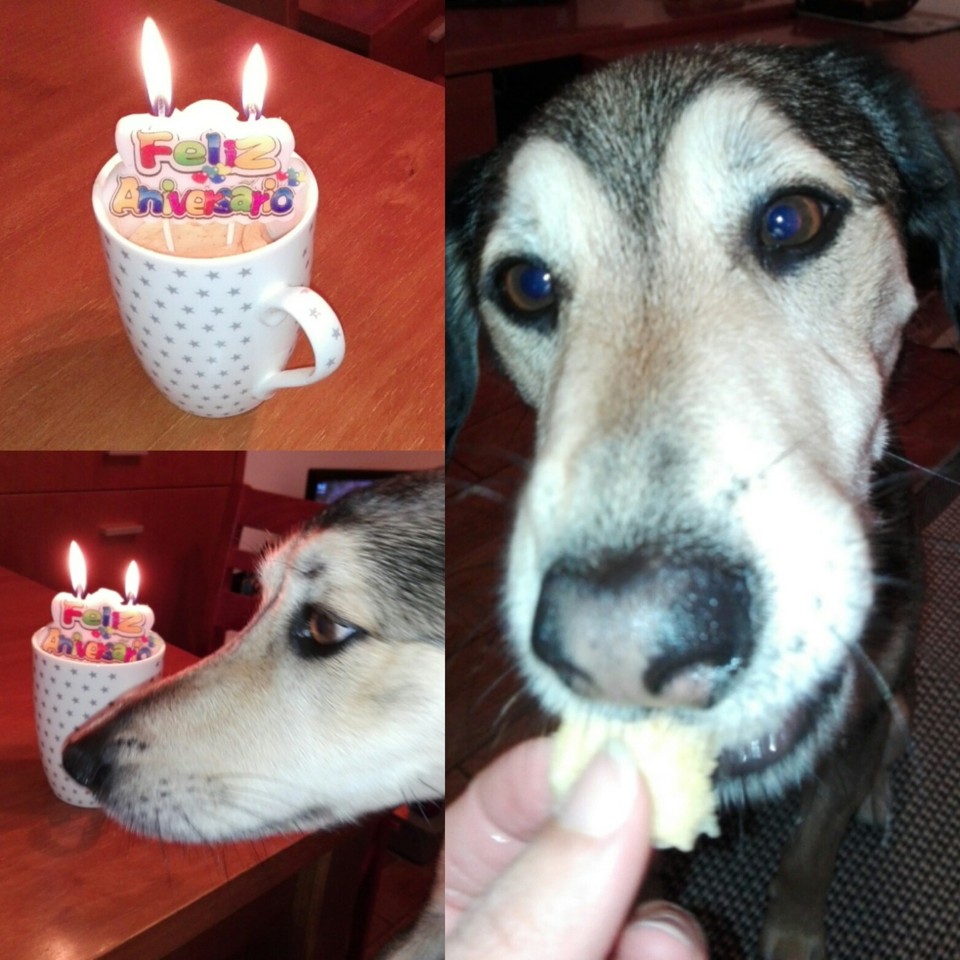 IMG_20180129_222826_270.jpg IMG_20180129_222826_270.jpg