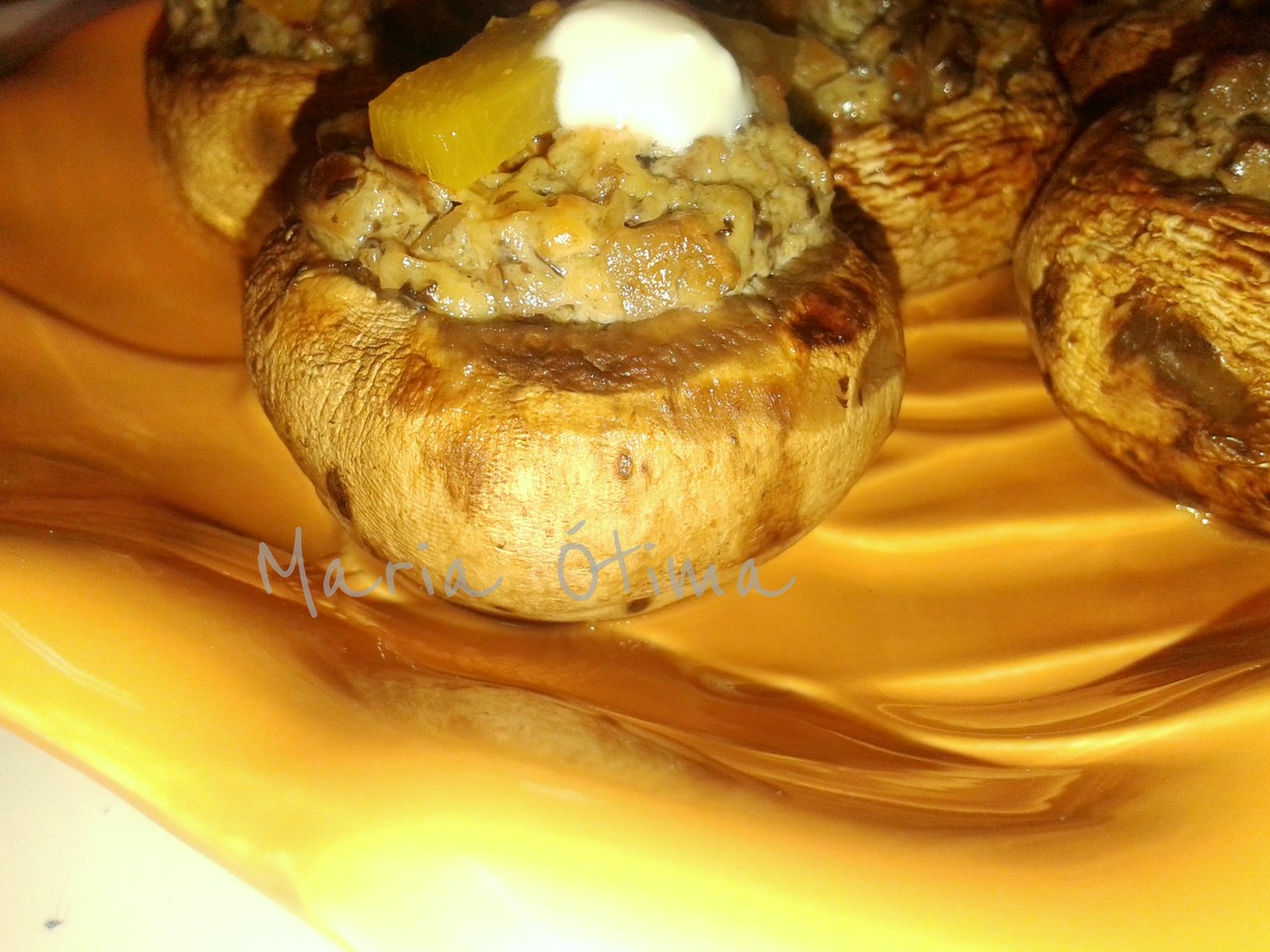 cogumelos da Bia4.jpg