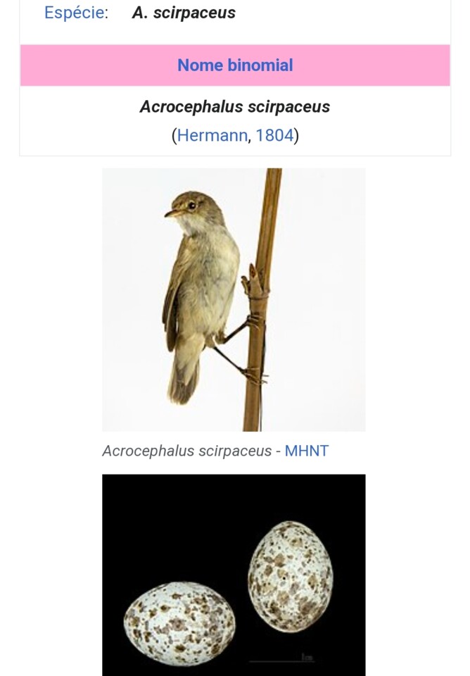 Screenshot_2022-10-28-16-49-15-173_com.android.chr