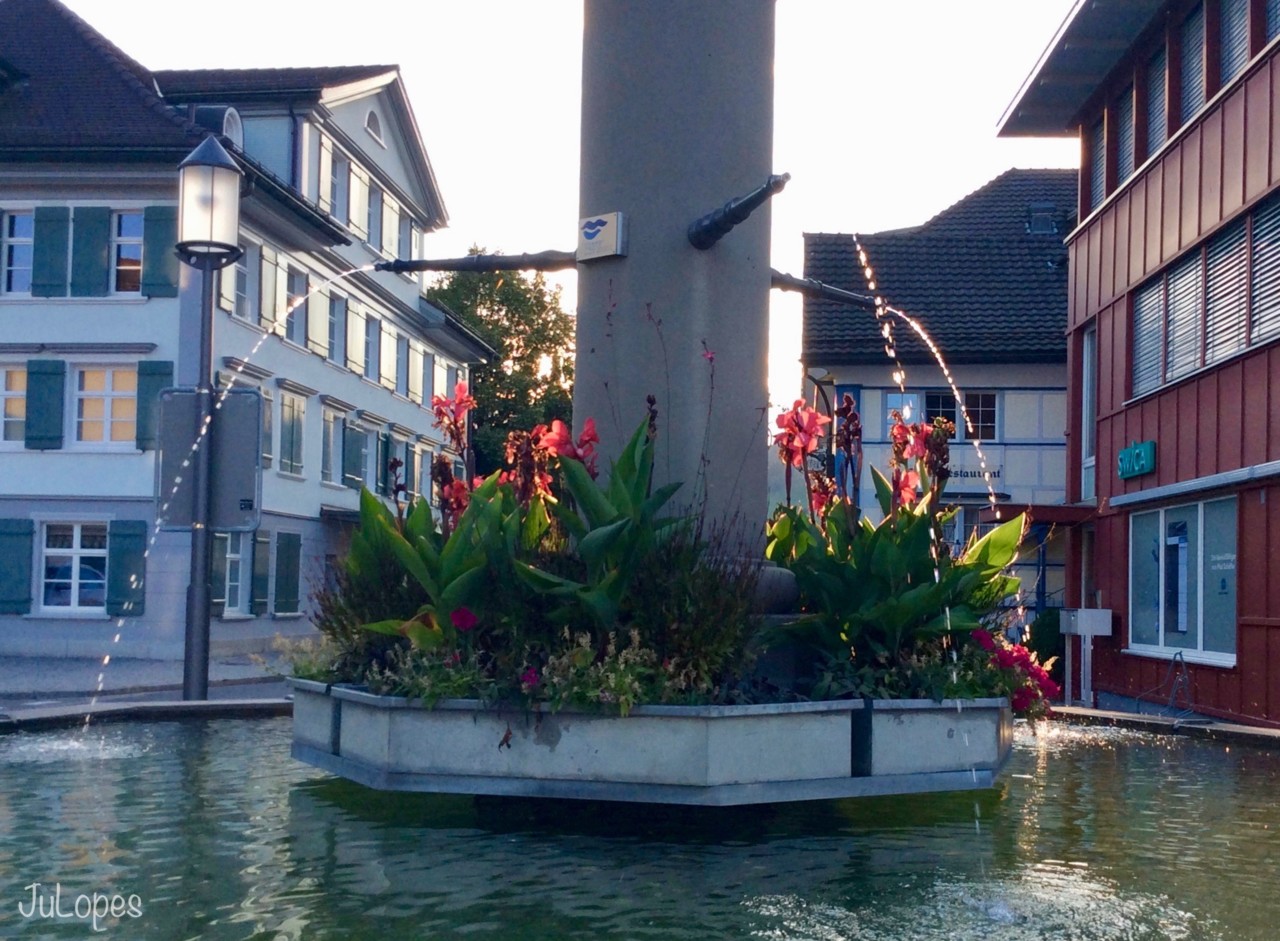 IMG_5735.jpeg IMG_5735.jpeg