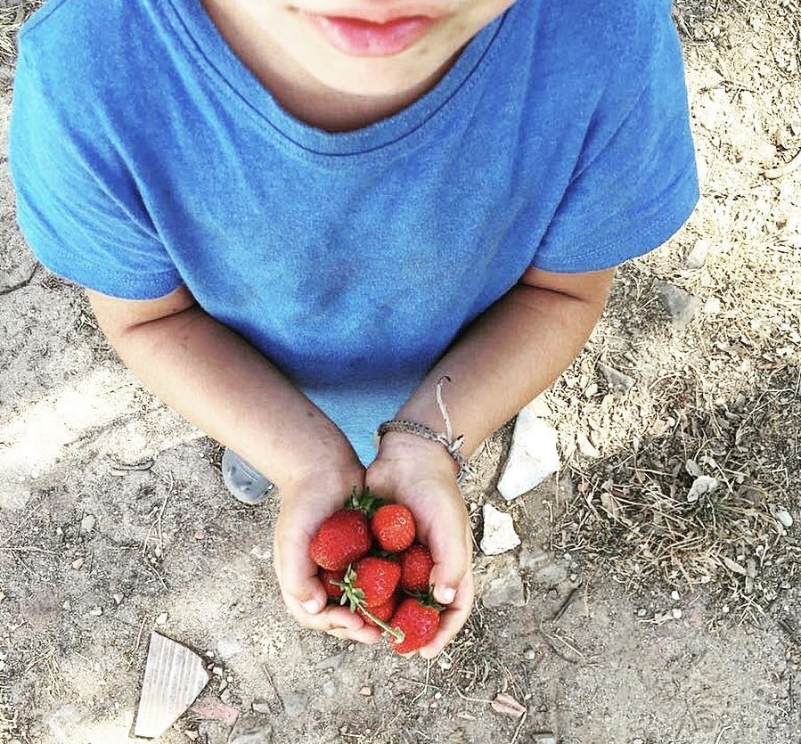 9AB48BF7-5024-4D05-8974-06D40572B7F1.jpeg 9AB48BF7-5024-4D05-8974-06D40572B7F1.jpeg