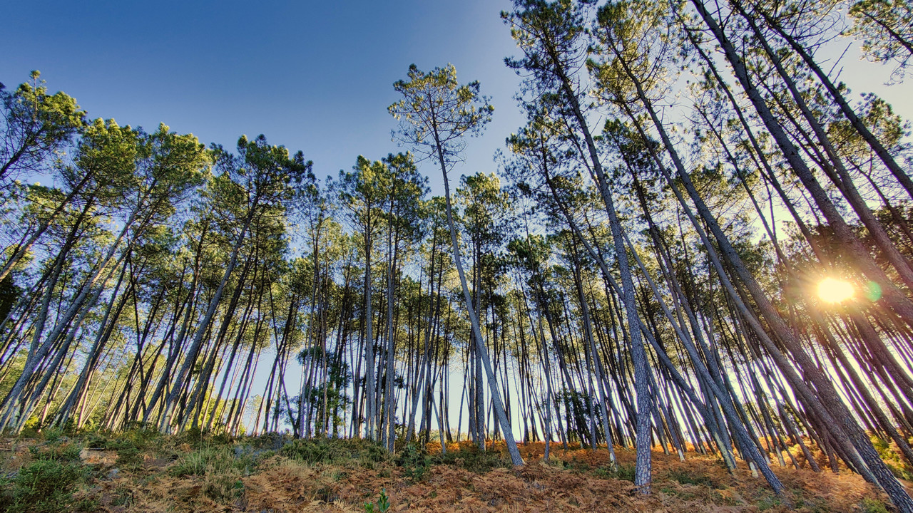 Serra da Meia Via Amarante02.jpg