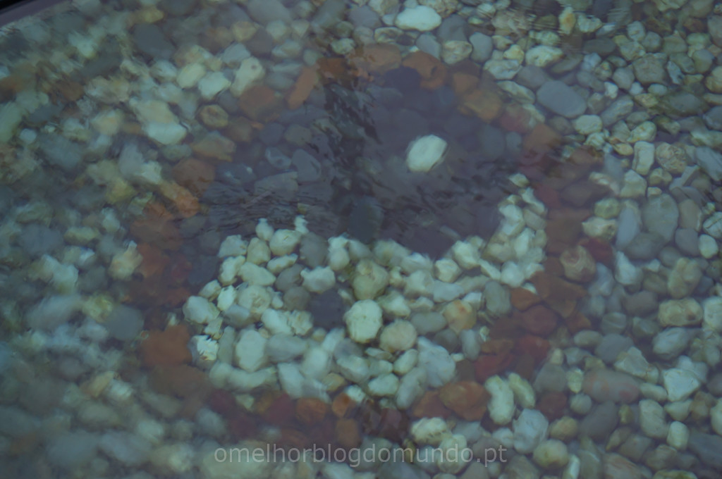 luso_agua-1.jpg luso_agua-1.jpg