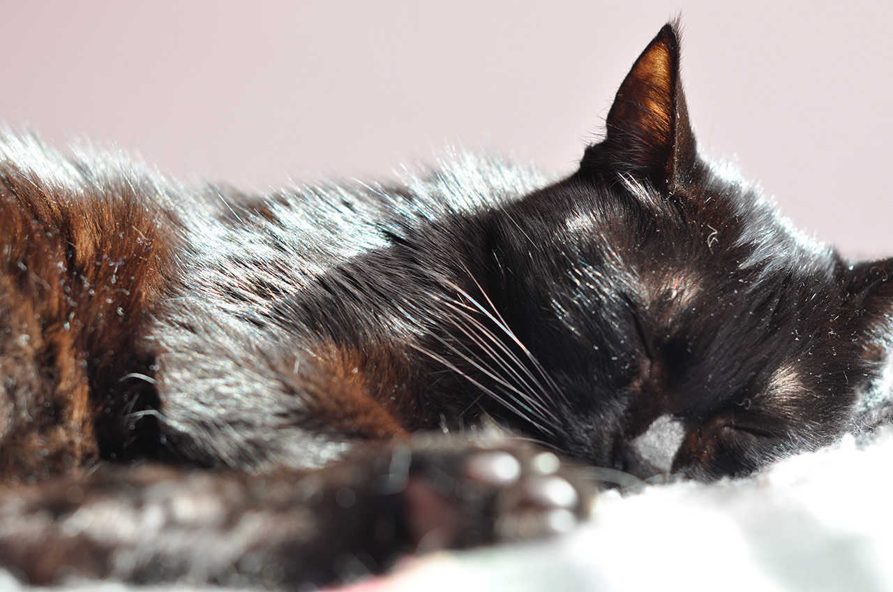 28 de Abril de 2003 28 de Abril de 2003