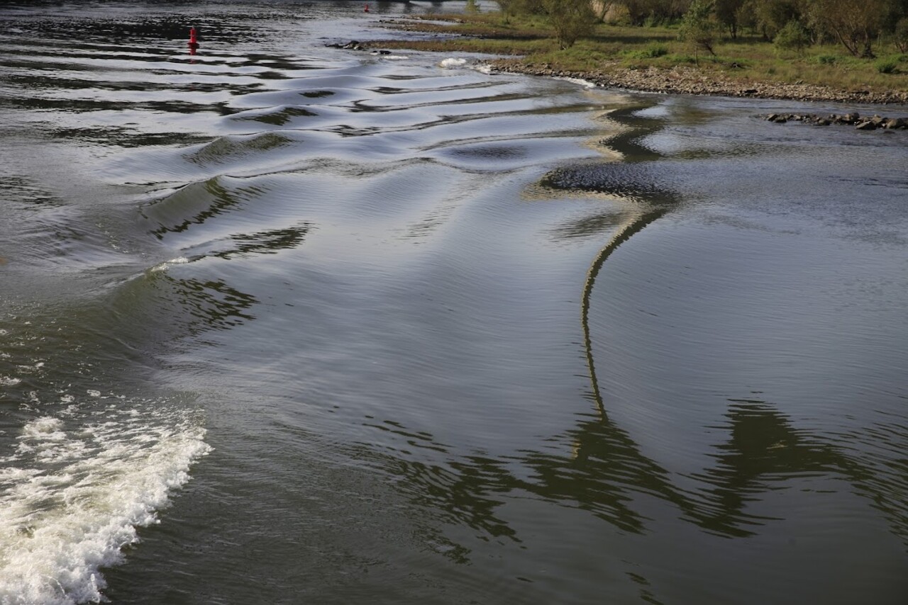 _MG_7294 ONDULANDO.JPG