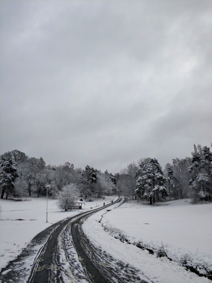 Parque coberto de neve em Estocolmo.jpg