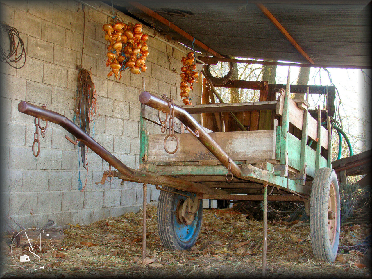 29Jan DSC09270_ms.JPG