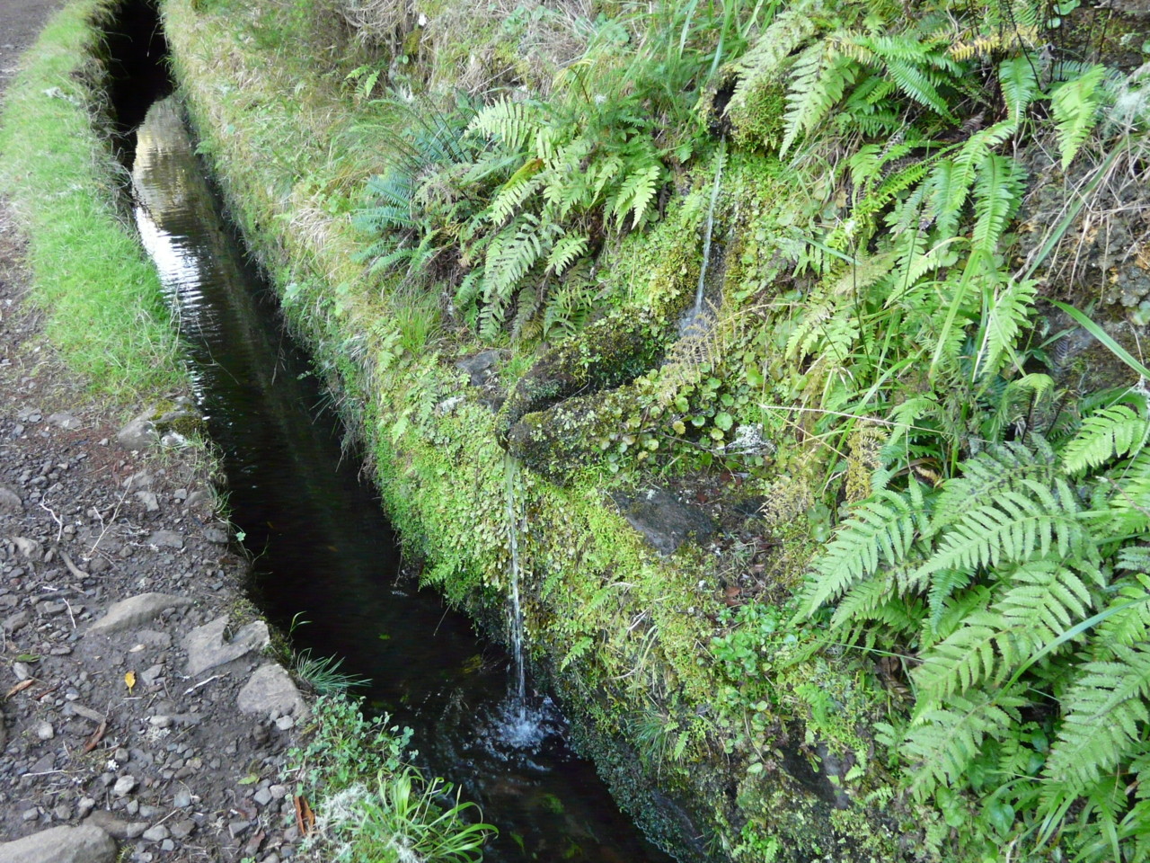 25 Fontes (2).jpg 25 Fontes (2).jpg