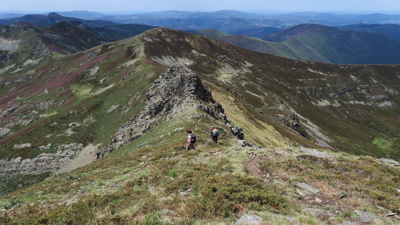 18620761_1567436119934151_6111407285605094076_o.jp