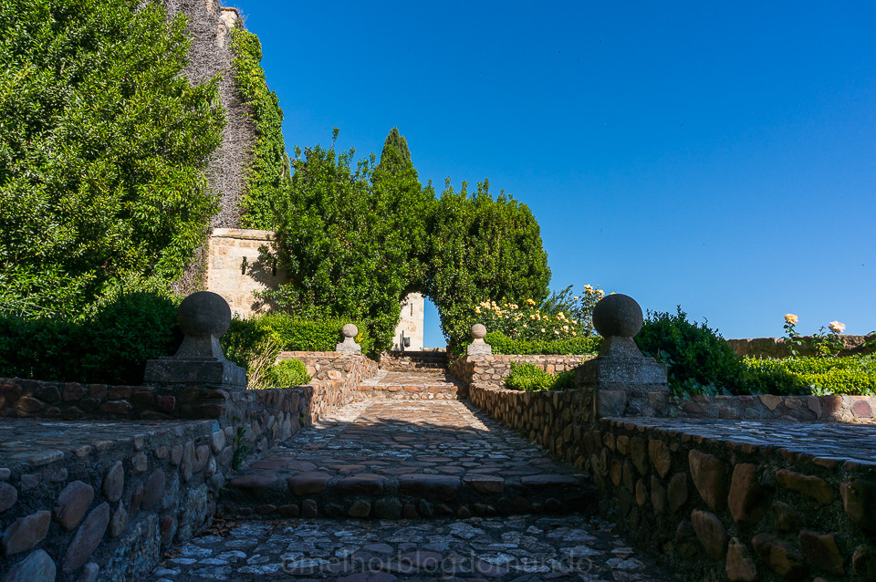 DSC02859.jpg DSC02859.jpg