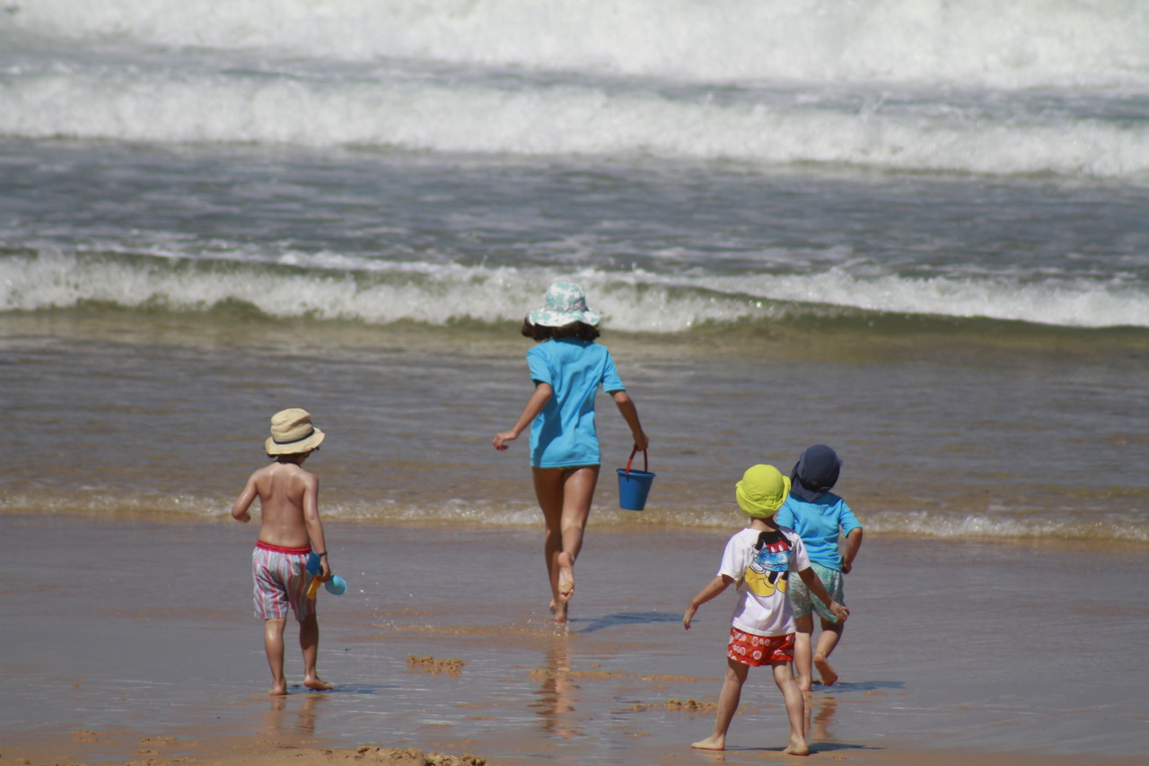 _MG_2902.JPG _MG_2902.JPG