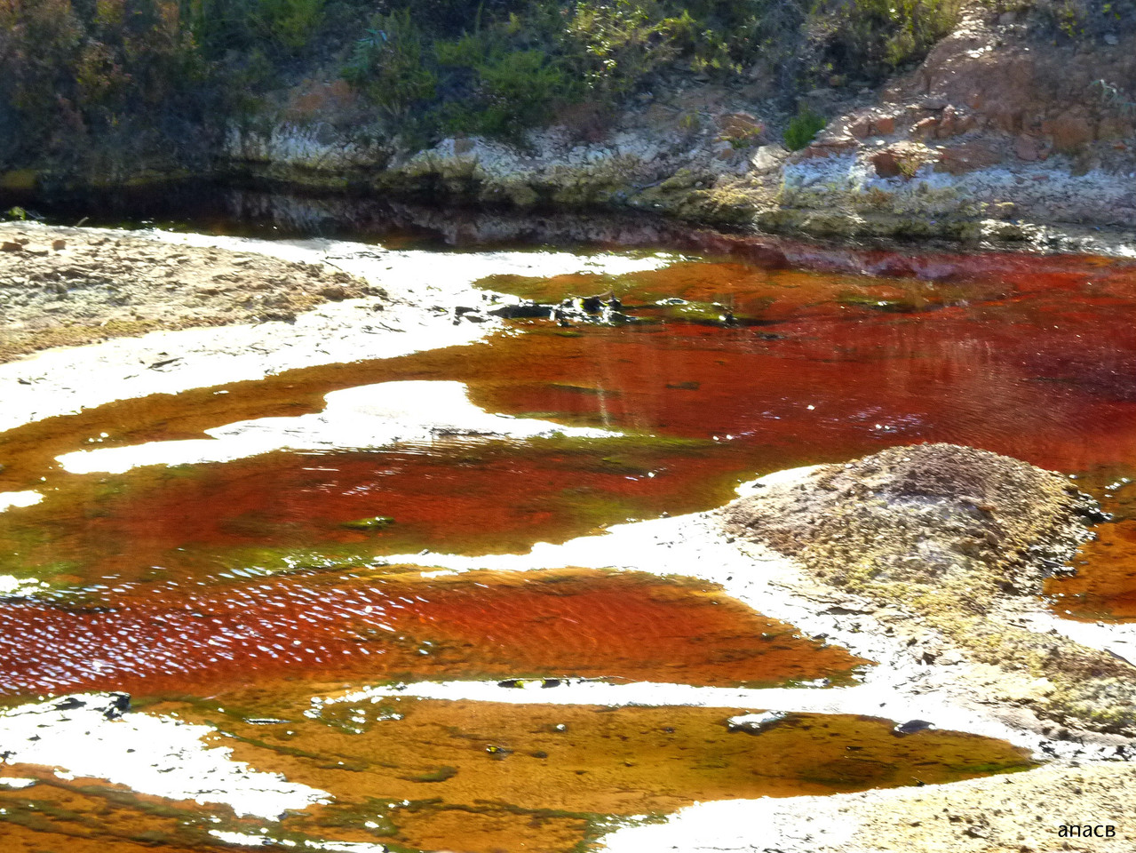 Mina S.Domingos (4).jpg