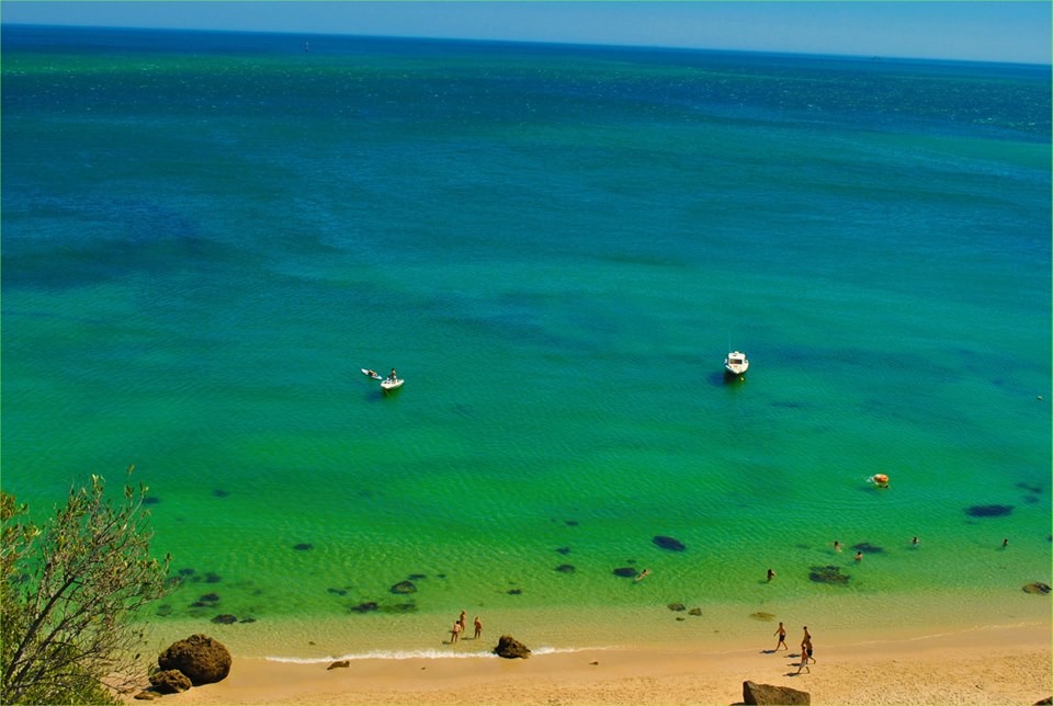 13438827_1089697761068487_1793740067127443351_n.jp 13438827_1089697761068487_1793740067127443351_n.jp