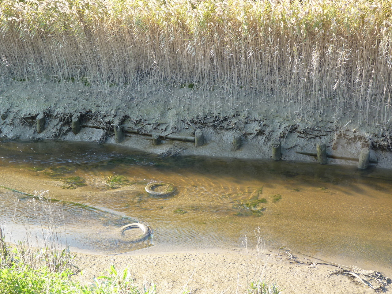 Parque Linear Ribeirinho do Estuário do Tejo (26)