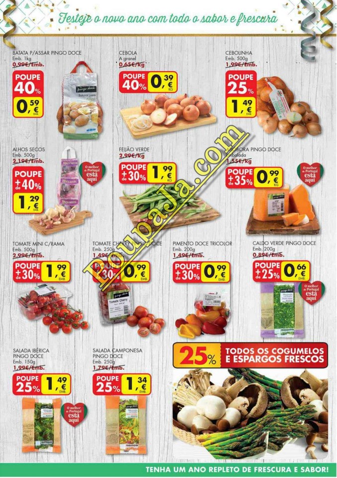 watermarked-transferir (2).jpg watermarked-transferir (2).jpg