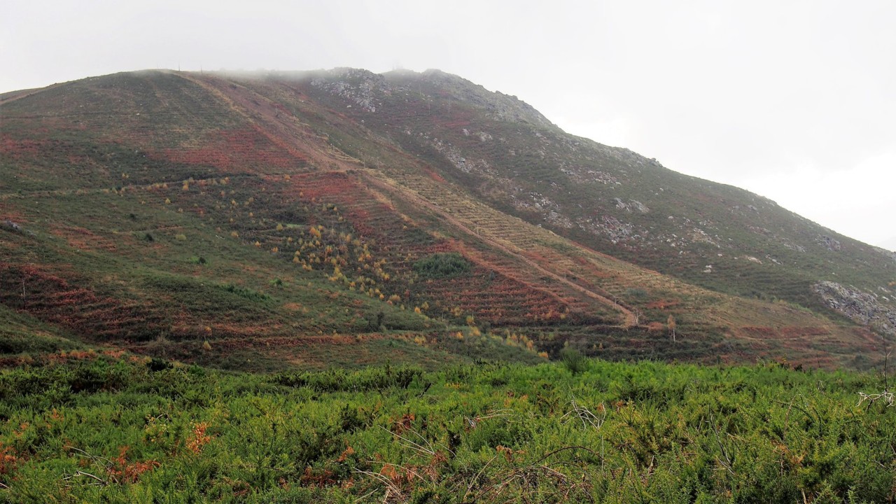 47684319_2361963300483749_2861754116827250688_o.jp