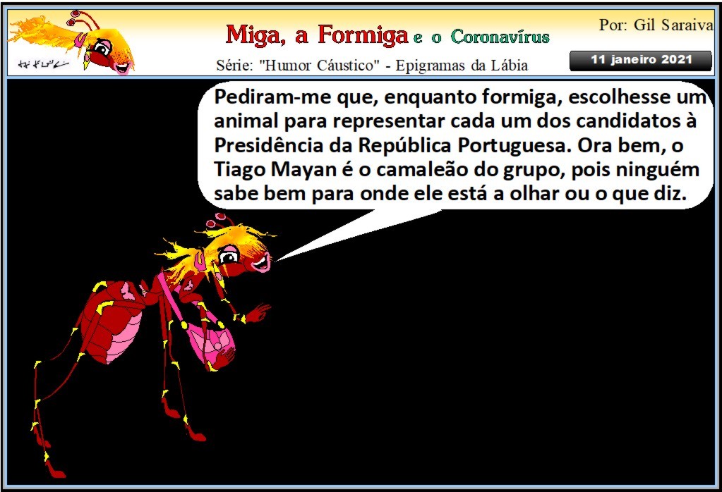 MIGA900.JPG