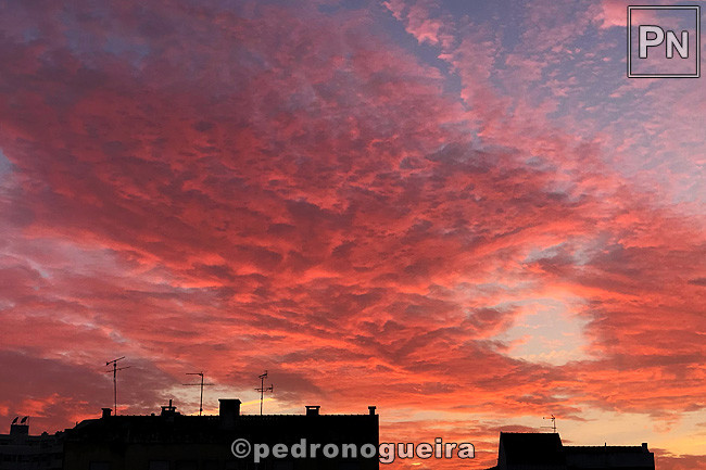 Dez_2019_031b 650px.jpg