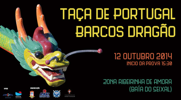 taca-portugal-barcos-dragao2014