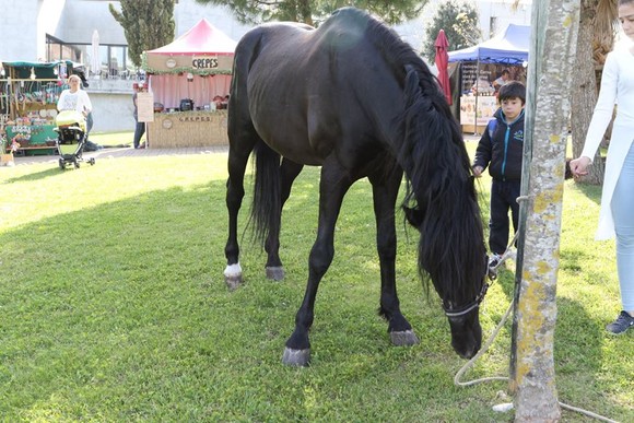 13062026_1089495454427456_7178185470500245841_n