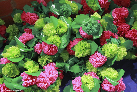 Vila Praia em Flor 2016 (2)