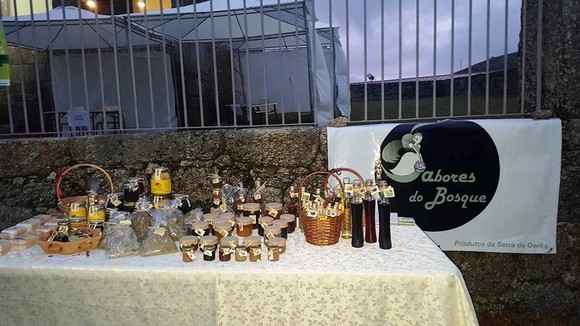 12498733_1242983222398406_108247139_n