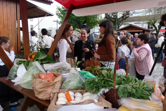 sTAsCSK06zztmiqzSMyB