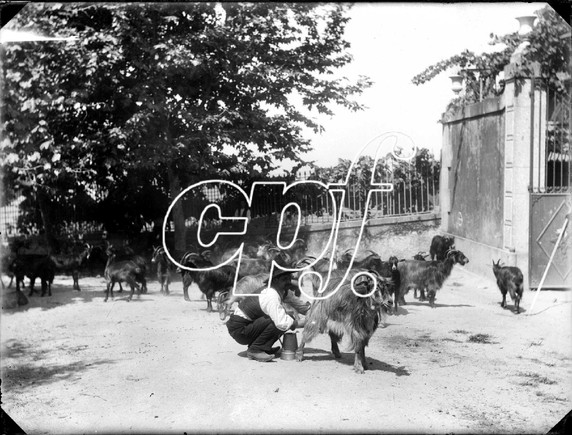 PT-CPF-BIE-000094_m0001