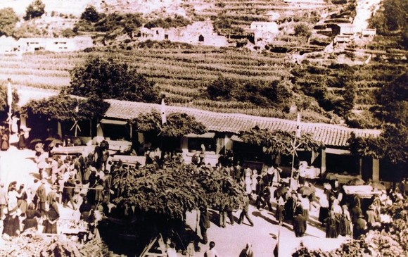 524204_396440597080576_1379788820_n