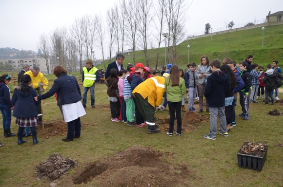 Plantações no Parque Urbano (1)