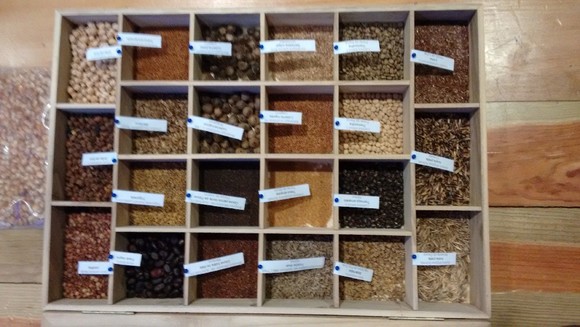 IMG_20151215_161925249