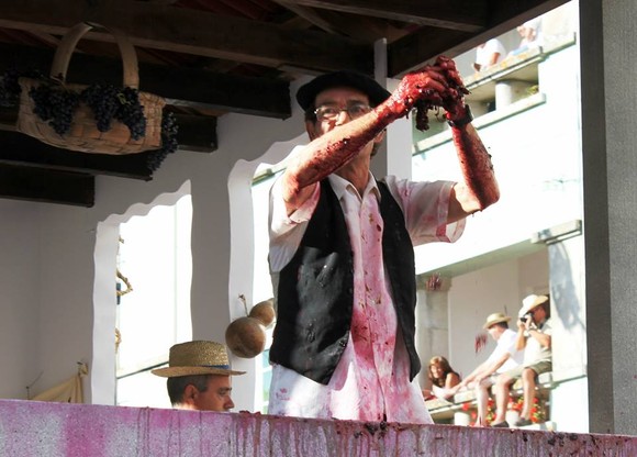 10624998_10204887466532980_9097694691958397339_n