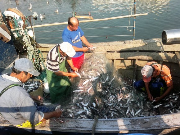 972410_584453121617761_2101183949_n