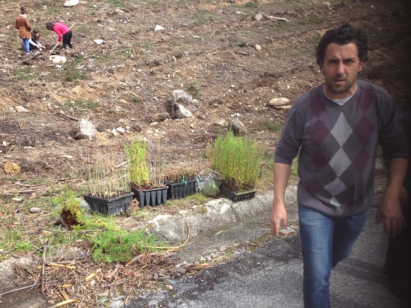 plantacao_s_jorge_2013_4