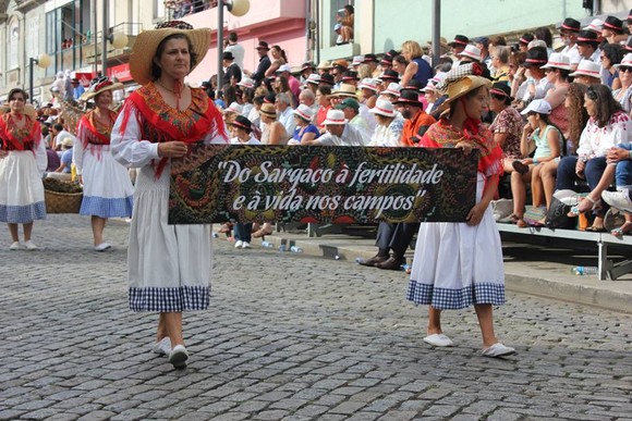 10606134_10204887444332425_1370007119346847112_n